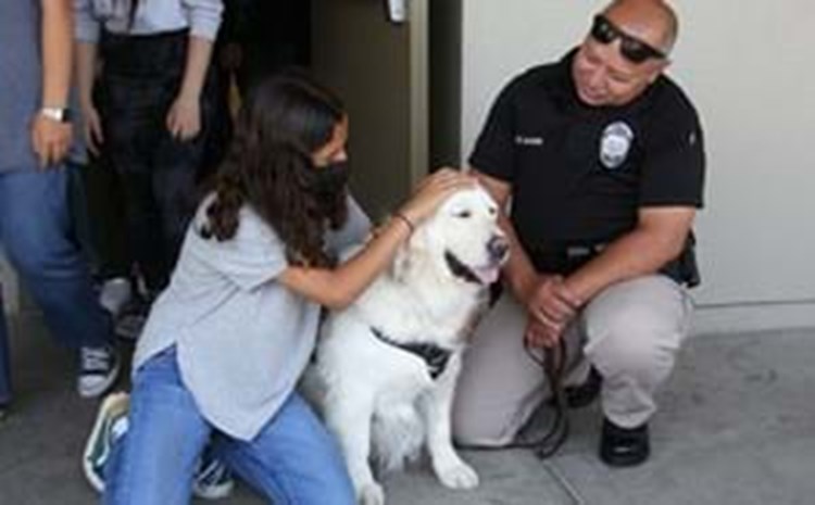 GGUSD Announces New Program with Garden Grove Police to Bring Support Dogs to Schools - article thumnail image